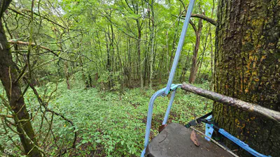 6847 Brushy Fork Road, Madison - 25