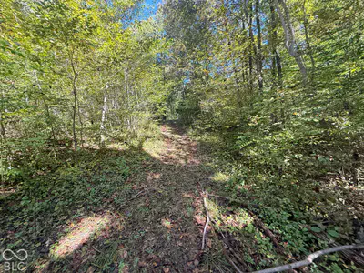 537 Pea Ridge Road, Spencer - 13
