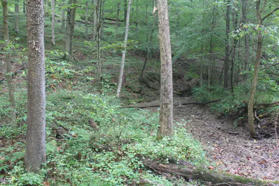 3490 Marlett Road, Nashville - 29
