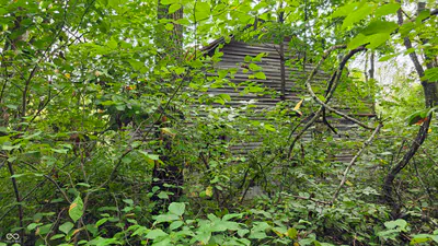6847 Brushy Fork Road, Madison - 19