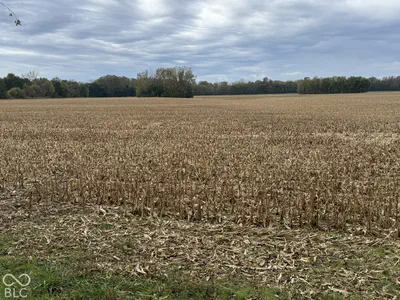 00 Marietta Drive, Shelbyville - 4