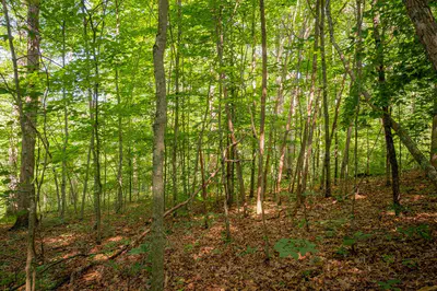 0 W Mt Healthy Road, Columbus - 3