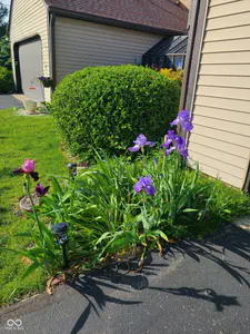 5924 Highgate Circle E, Indianapolis - 39