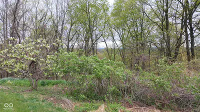 6821 W County Road 700 N, Freetown - 127