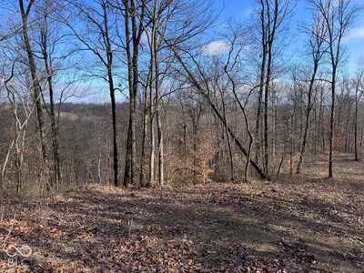 1625 State Road 46, Nashville - 6