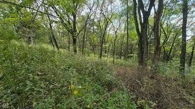 6847 Brushy Fork Road, Madison - 32