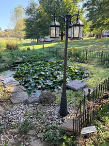 12305 Legal Tender Road, Columbus - 22