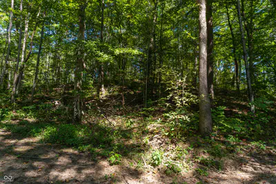 0 Pumpkinvine Hill Road, Martinsville - 4