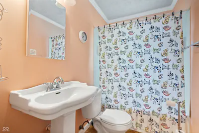 6528 Hillside Avenue, Indianapolis - 17