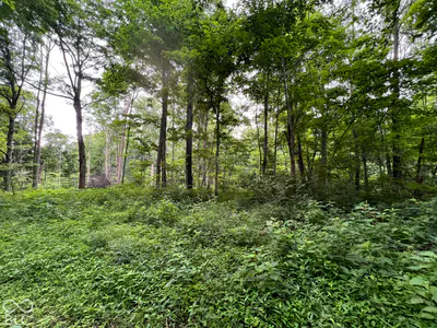 15040 Lindsey, Milton - 37
