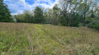 6847 Brushy Fork Road, Madison - 30