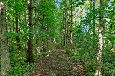 3205 Belle Arbres Lane, Westfield - 8