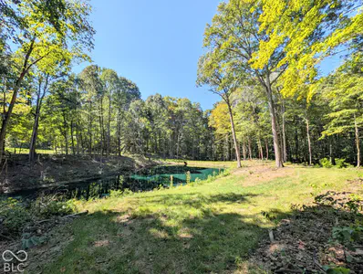 4590 Turkey Track Road, Martinsville - 16