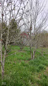 6821 W County Road 700 N, Freetown - 109