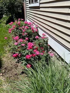 2411 Talbott Street, Indianapolis - 49