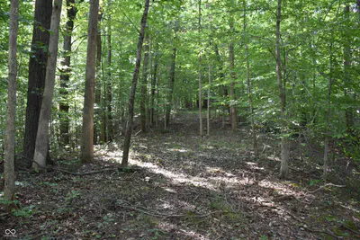 0 Sichting Road, Martinsville - 25