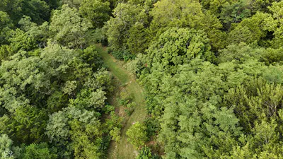 10372 Dugan Road, Vevay - 62