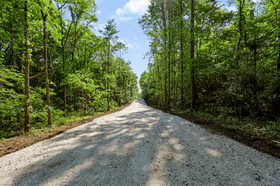 3205 Belle Arbres Lane, Westfield