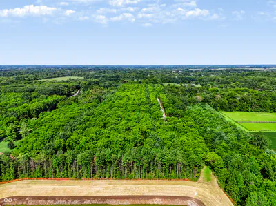 3555 Belle Arbres Lane, Westfield - 5