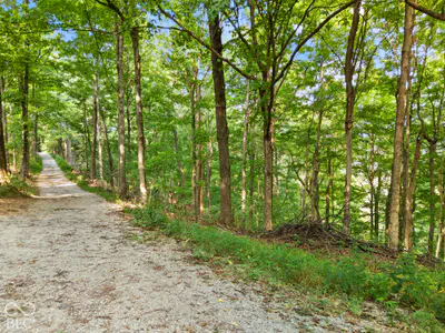 0 McCarthy Knob Road, Lanesville - 4