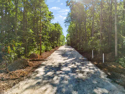 3555 Belle Arbres Lane, Westfield - 18