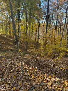 10151 Brann Road, Poland - 67
