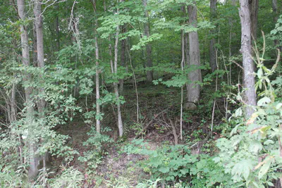 3490 Marlett Road, Nashville - 44