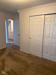 10022 Sapphire Berry Lane, Fishers - 27