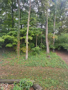 5966 Blue Heron Way, Plainfield - 6