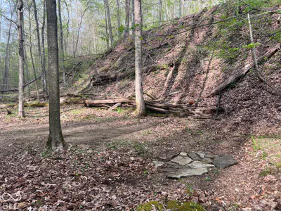 00 Timber Crest Road, Nashville - 20