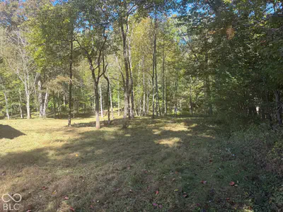537 Pea Ridge Road, Spencer - 6