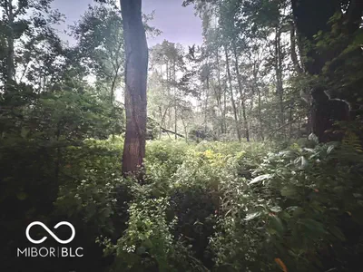 Lot #2 100, Perrysville - 10