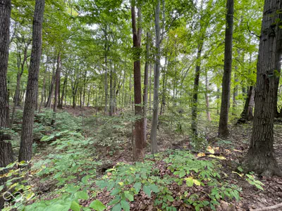 778 W Gasburg Lane, Mooresville - 65