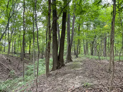 778 W Gasburg Lane, Mooresville - 37