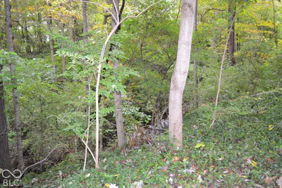 4267 Indian Pipe Trace, Indianapolis - 45