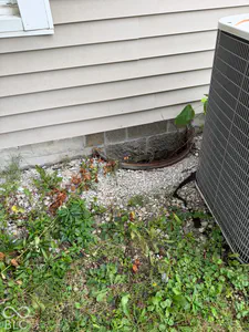 307 Lincoln Road, Rockville - 4
