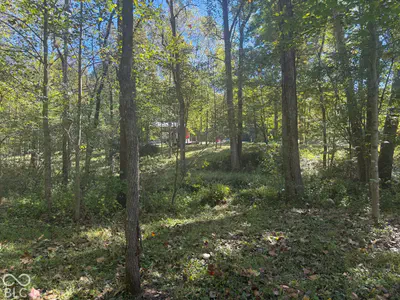 537 Pea Ridge Road, Spencer - 12