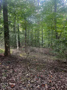 9089 Gold Point Road, Trafalgar - 3
