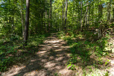 0 Pumpkinvine Hill Road, Martinsville - 6