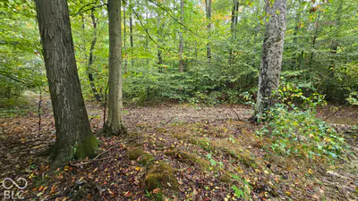 3949 E Thornton Road, Madison - 13