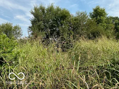 1907 Hillside Avenue, Indianapolis - 4