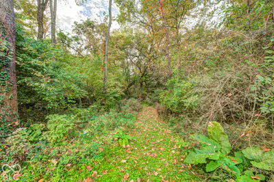 187 County Road 200, Danville - 33