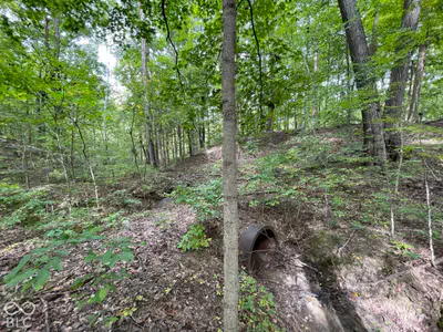778 W Gasburg Lane, Mooresville - 67