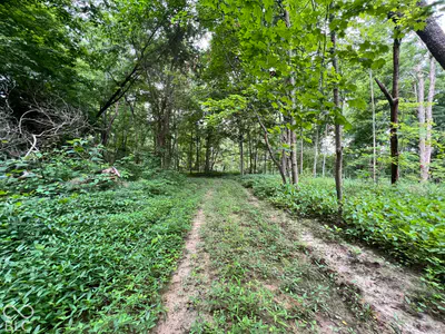 15040 Lindsey, Milton - 39