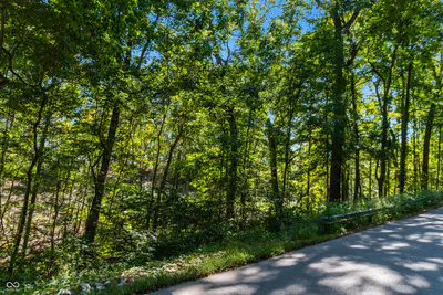 0 Pumpkinvine Hill Road, Martinsville - 15