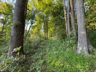2436 Firecrest Lane, Freedom - 25