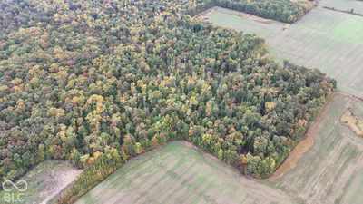 3949 E Thornton Road, Madison - 25