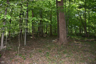 0 Sichting Road, Martinsville - 26