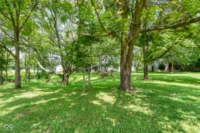 645 County Road 600, Orleans - 35