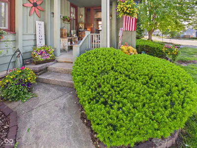 318 Vasbinder Drive, Chesterfield - 43